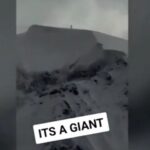 Presunto umanoide gigante filmato in Canada. Ecco il video.